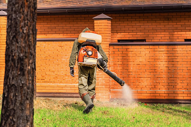 Trusted Ant Control service in Mattawa, WA - Nex Pest Control